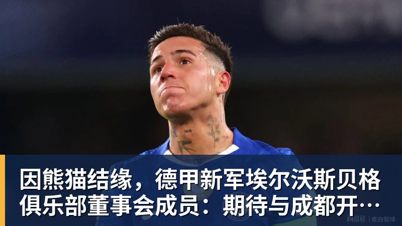 因熊猫结缘，德甲新军埃尔沃斯贝格俱乐部董事会成员：期待与成都开展更多合作